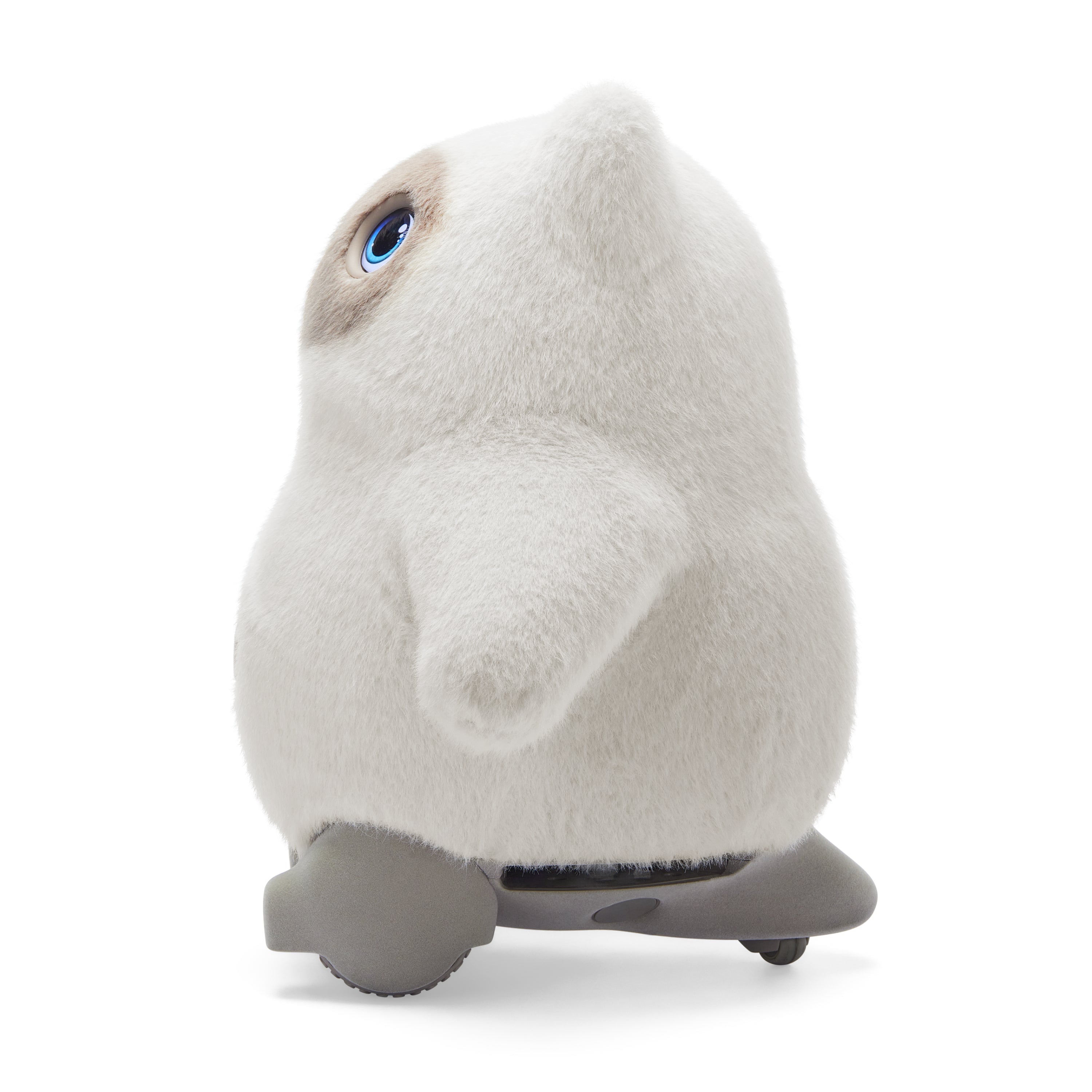 Kata Friends — image 2