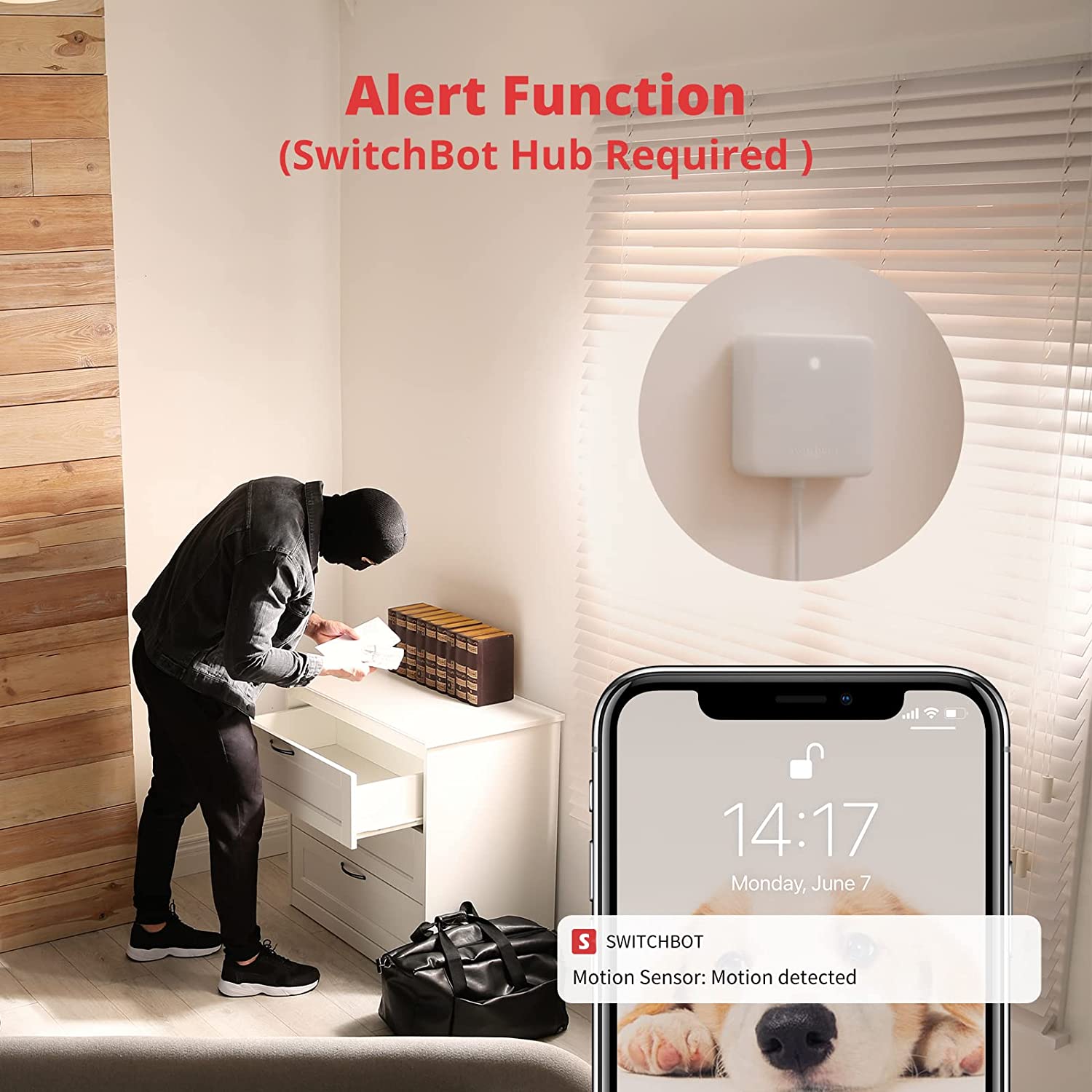 Sensor Bot SwitchBot Motion Sensor | Smart Home Automation with 30ft Detection ...